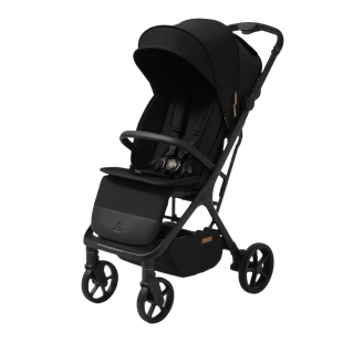 Future Design X-RAY SE stroller