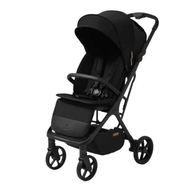 Future Design X-RAY SE stroller